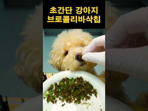 강아지 브로콜리바삭칩 제조법 | 초간단 강아지 간식 만들기