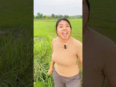 นมใครกันแน่เอามานะ! #ตลก #ขำขัน #คนไทยเป็นคนตลก55555 #ฮาๆ #shortvideo