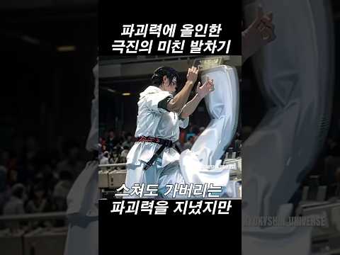 공격에 모두 몰빵한 미친 발차기