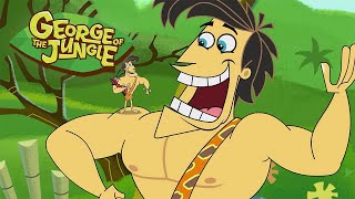Jungle Jr. Achievers 🌴 | 1 Hour of Full Episodes | George of the Jungle