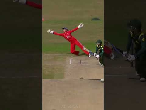 Smartest Cricket Moments!