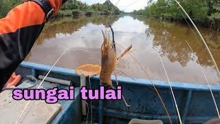 Begasak air keruh.. Mancing udang galah sungai Tulai