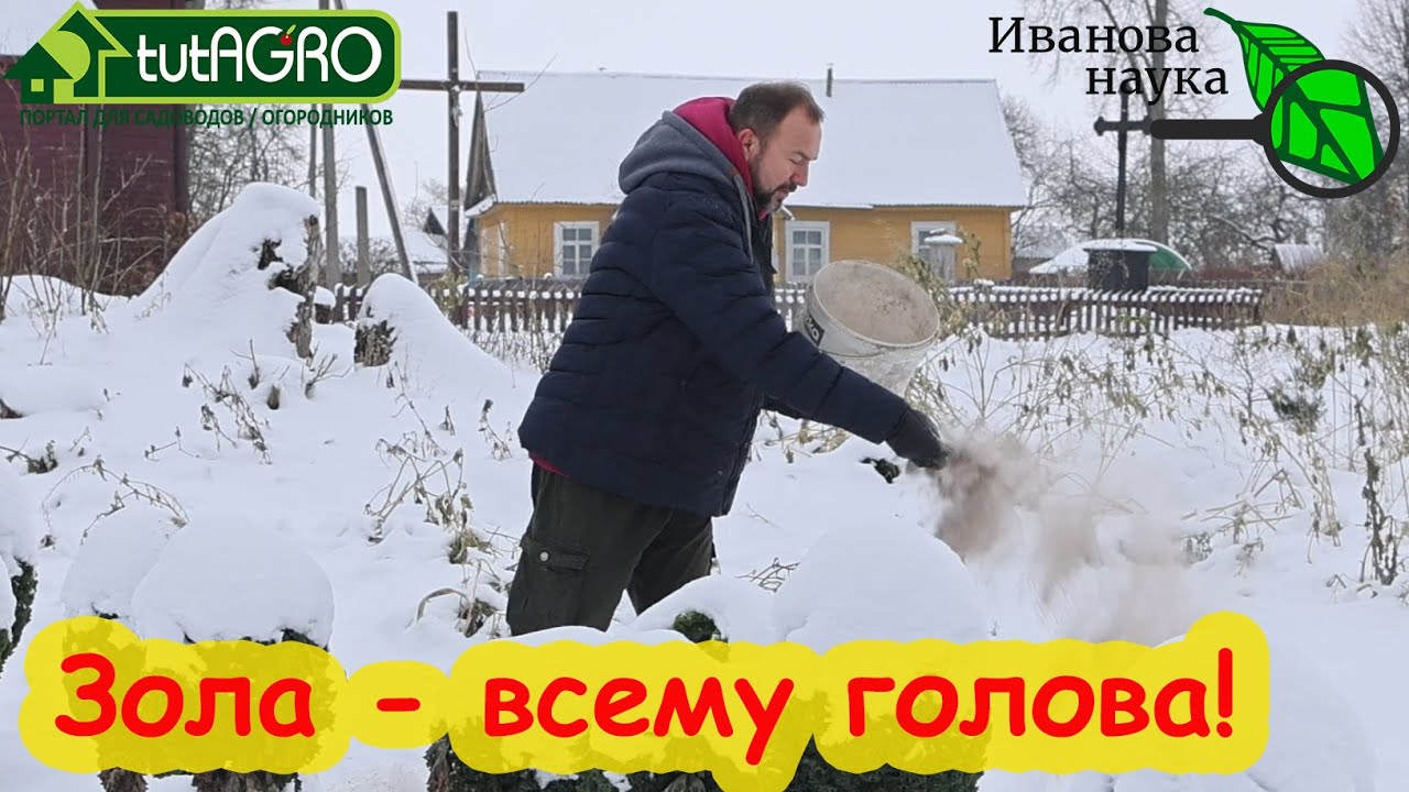 З главных вопроса об использовании золы: когда вносить, что можно жечь и гасить или не гасить?