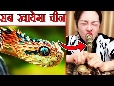 China में खाया जाता हैं सबसे घिनौना खाना | Most Disgusting Foods Are Eaten In China