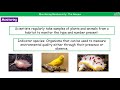 Environmental Indicators and Pollution Effects