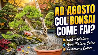 Ad agosto, col bonsai come fai? 