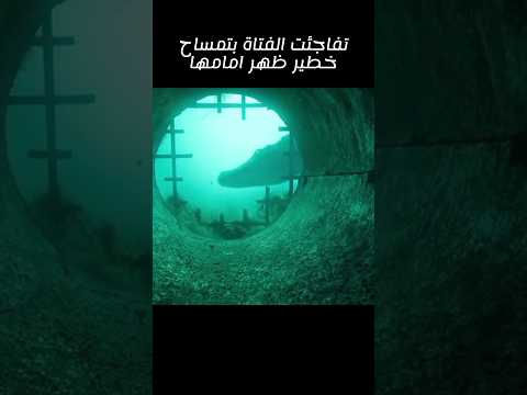 بسبب فيضان مدمر كادو ان يفقدو حياتهم!!