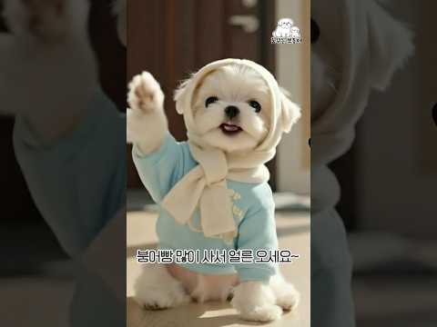 강아지가 문앞에서 아빠를 기다린지 벌써 1년