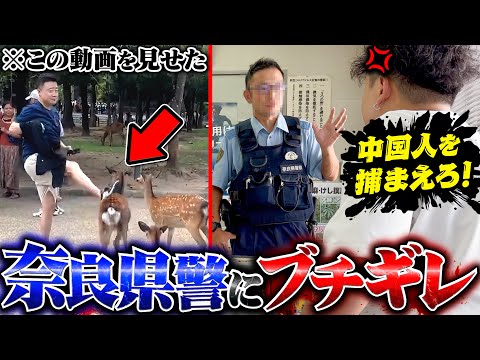 鹿を蹴っ飛ばす中国人を逮捕しない警察にブチギレた【奈良公園】