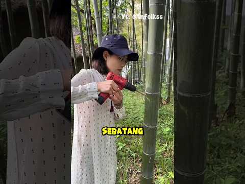Cara Aneh Orang China Membuat Wine Langsung di Pohon Bambu ๐ฑ #shortvideo