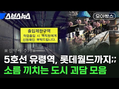 실제 파묘 무속인까지, 직접 찾아가 파헤쳐 본 도시 괴담 [모아봤스] / 스브스뉴스