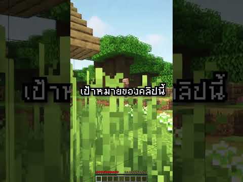 มายคราฟ แต่ทุกอย่างที่ผมพูด จะหายไป !
