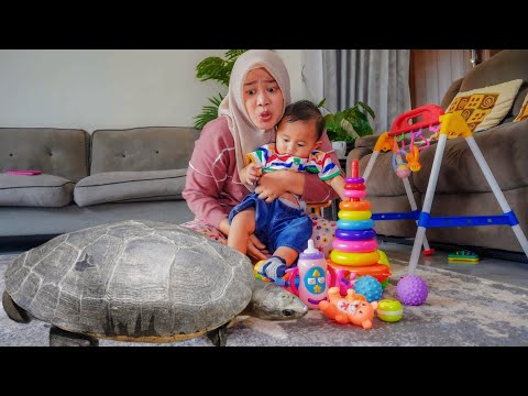 DRAMA | KURA KURA BESAR LEPAS MASUK RUMAH BAYI AZAM 🥵 | Ali vlog