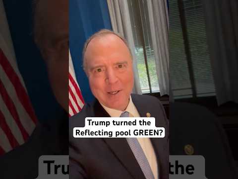 When you only have concepts of a plan you spend $14 million to turn the Reflecting pool green.