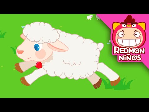 ¡Rescata a la oveja bebé! | Equipo de Rescate Animal | redmon Español | REDMON NiÑOS