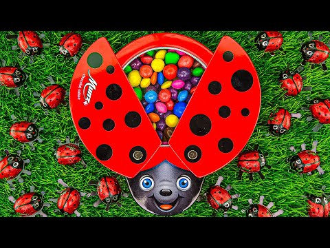 Most Satisfying Video | Fruit Skittles & Color M&M's in LadyBug Full of Glitter Candy ASMR #854