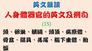 英文雜談：人身體器官的英文及例句 15：頭、卵巢、胰臟、頭頂、病原體、骨盆、陽具、馬尾、腦下垂體、胎盤