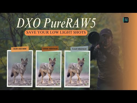 My Secret to Clean, Sharp Photos | DXO PureRAW 5 Hands-On!