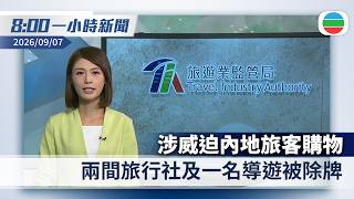無綫8:00一小時新聞：旅監局撤銷兩間旅行社及一名導遊牌照　涉威迫內地旅客購物｜金正恩出席驅逐艦姜健號入列儀式　強調朝鮮將依法行使自衛權｜香港新聞｜無綫新聞｜TVB News｜2026/09/07