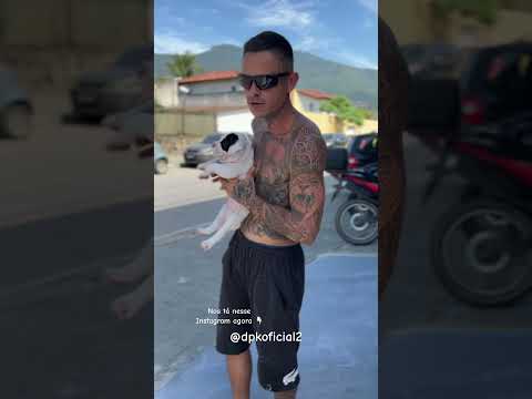 PIT BULL PIRATA ANTIGO