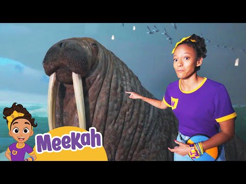 Meekah’s Dino Discovery | Kids Fun & Educational Cartoons | Moonbug Play and Learn