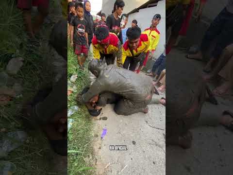 COWO BAJU HITAM GA BISA KABUR DARI KUDA LUMPING!!!!SENI BENJANG MEKAR BUDAYA