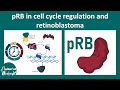 PRB Regulation and Retinoblastoma Concepts