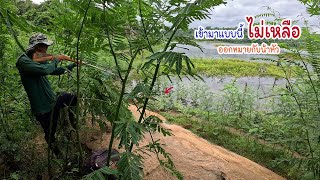 มา2หมาน2กับน้าหัว แม่บ้านจัดเมนูขนมจีนน้ำยาปลาโดให้แซ่บๆ