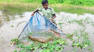 Fishing Video 🐠🐬|| Boy are fishing with nets in the big canal of the village || Amazing net trap