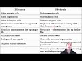 Mitosis vs Meiosis: Key Concepts and Differences
