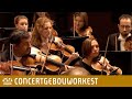 Квиз о видеоуроку