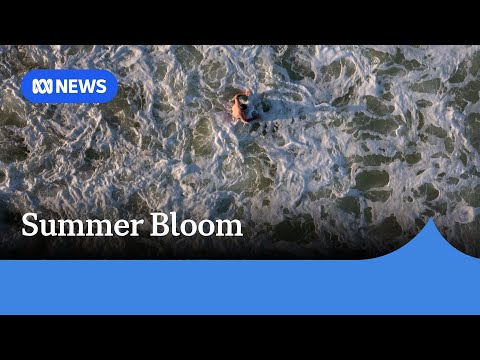 YouTube video thumbnail: Will Summer Turbocharge SA's Algae Disaster?