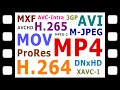 Understanding Digital Video Formats