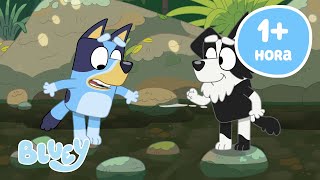 🔴EN VIVO: Los mejores amigos | Bluey Español Canal Oficial
