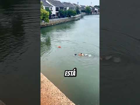 Una persona CAYÓ al río y este hombre se tiró para SALVARLA pero... 😭