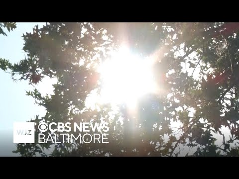 YouTube video thumbnail: Maryland Has Recorded Nearly 30 Heat-Related Deaths This Year