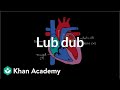 Understanding Heart Sounds and Blood Flow