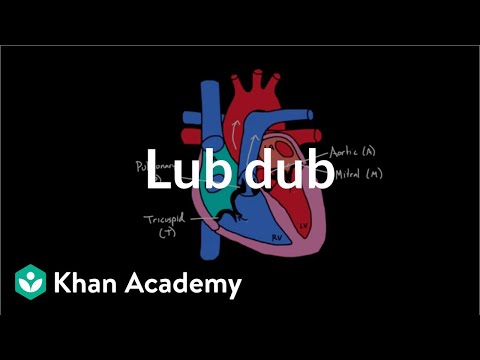 Lub Dub | Circulatory system physiology | NCLEX-RN | Khan Academy