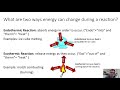Endothermic vs Exothermic Reactions Explained