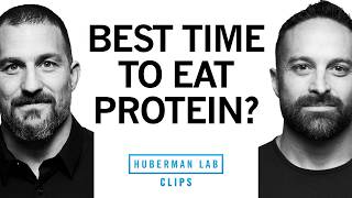 When to Eat Protein for Better Muscle Growth | Dr. Layne Norton & Dr. Andrew Huberman