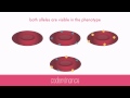 Exploring Non-Mendelian Genetics Concepts