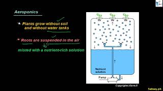 Vertical farming
