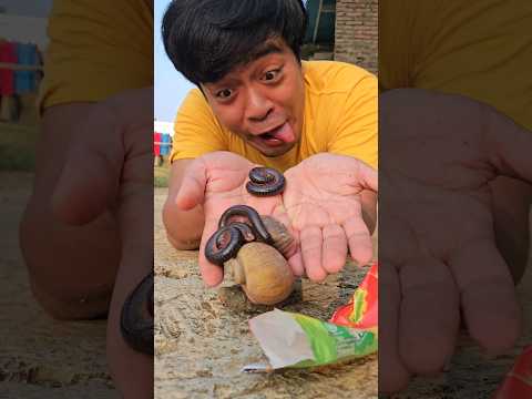 Wow!  Found a delicious ice cream on the street but ran away seeing a millipede inside #shorts