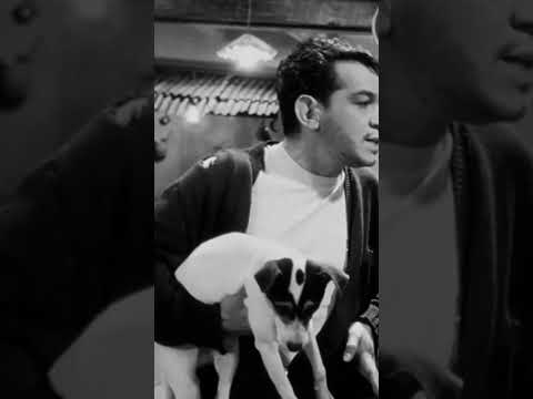 No se me achicopale 🥺#cantinflas#cinedeoromexicano