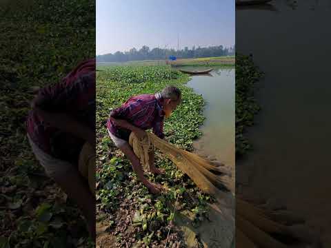 Net fishing in River