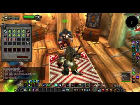 Where is the Bank in Thunder Bluff - Vanilla WoW...