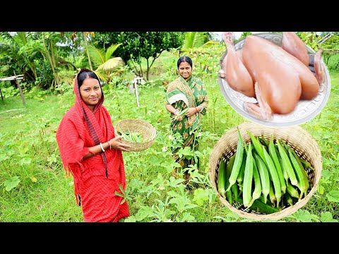 নিজেদের বাগানে সবজি তুলে পোস্ত ভেন্ডি রান্না করলাম সাথে চিকেন কারি রেসিপি আর খাওয়া দাওয়া 