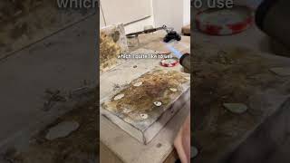 Metal Clay Diploma Diaries - Soldering Metal Clay