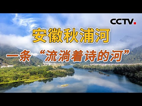 《地理·中国》 20241122 家在河畔 大河汤汤·秋浦长歌 | CCTV科教