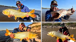 Pesca en La Paz junto a Posta Surubí